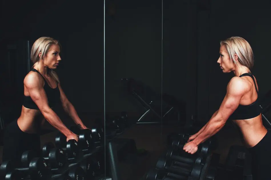 Treino de Braços para Mulheres Fazerem na Academia de Musculação