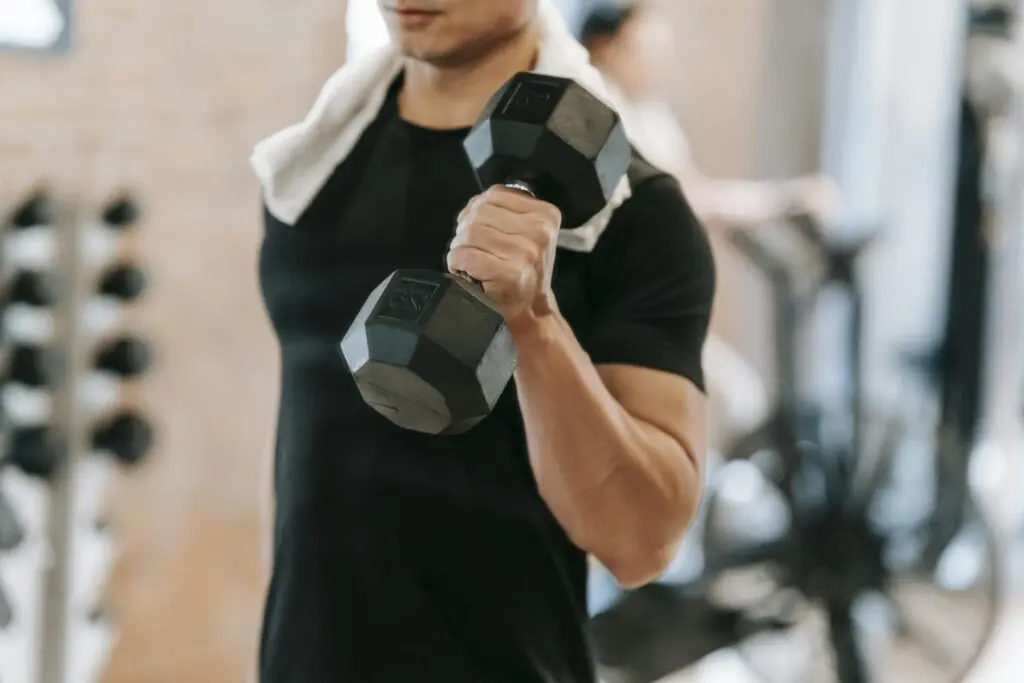 treino para ectomorfo
