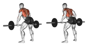 Peso Livre ou Aparelho O Que é melhor Na Musculação?